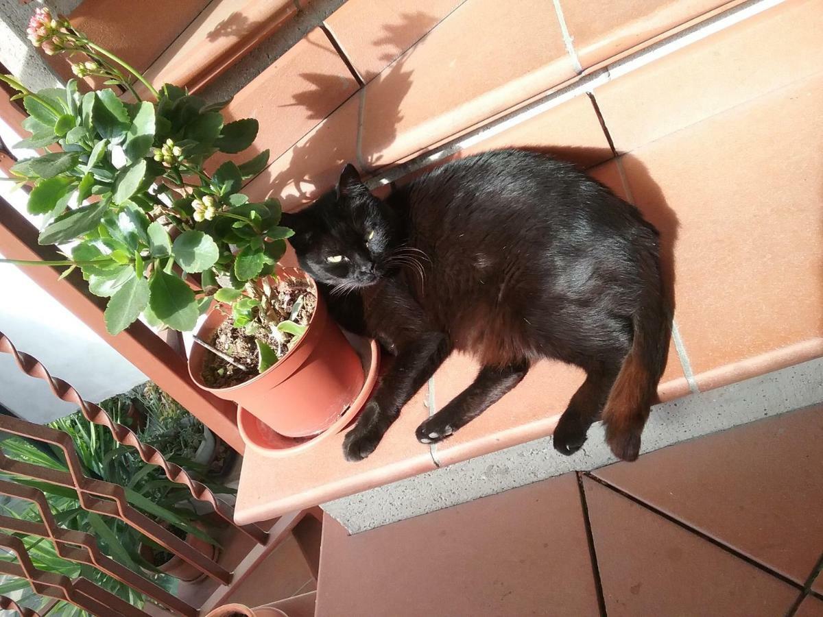 Appartamento Relax Terni Eksteriør billede